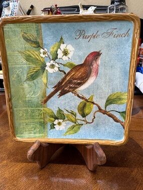 Botanical Birds
by CERTIFIED INTERNATIONAL FINCH Square Canape Plate 6”